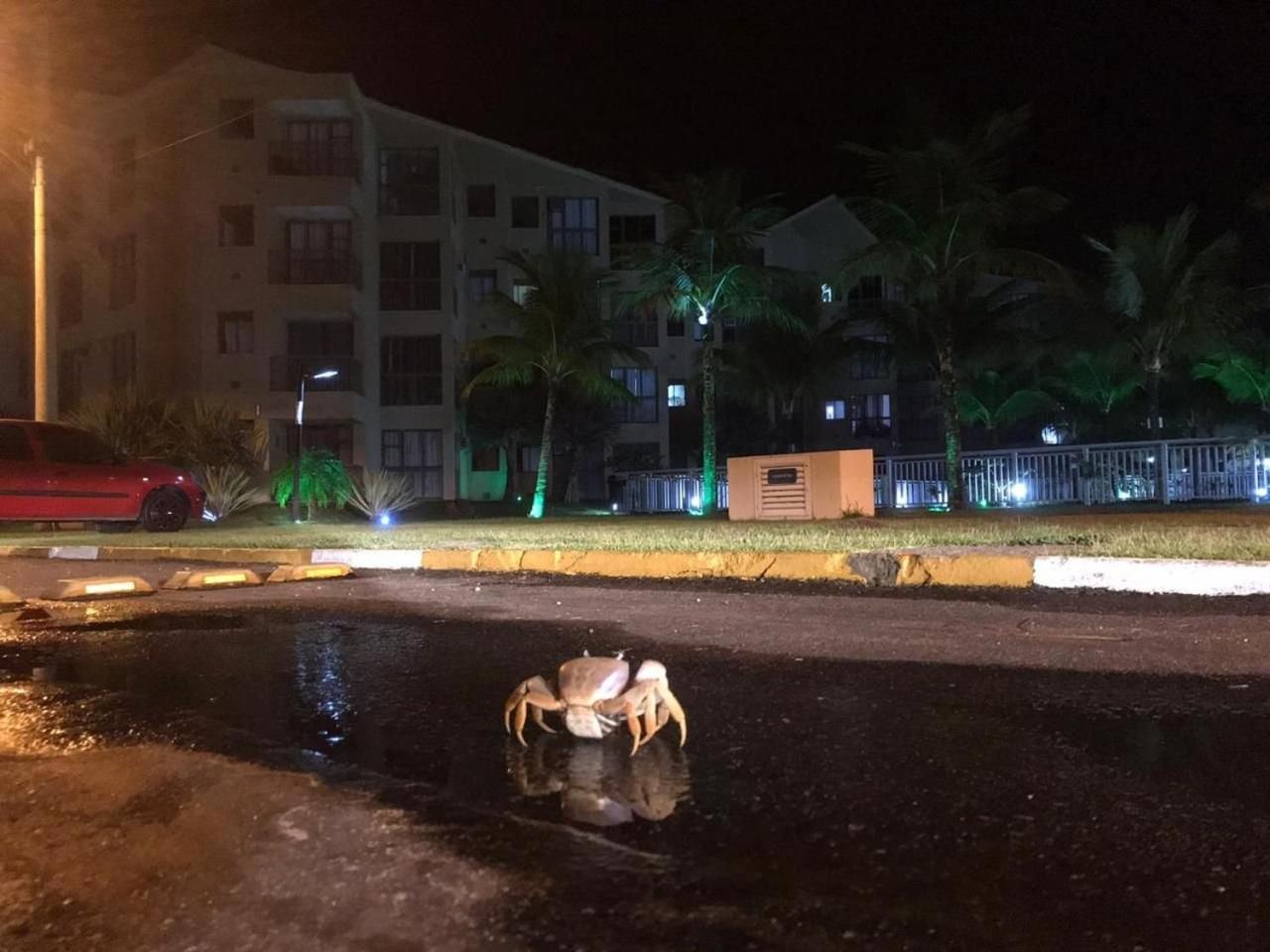 Reserva Ecológica do Sahy, Condado Mangaratiba Exterior foto